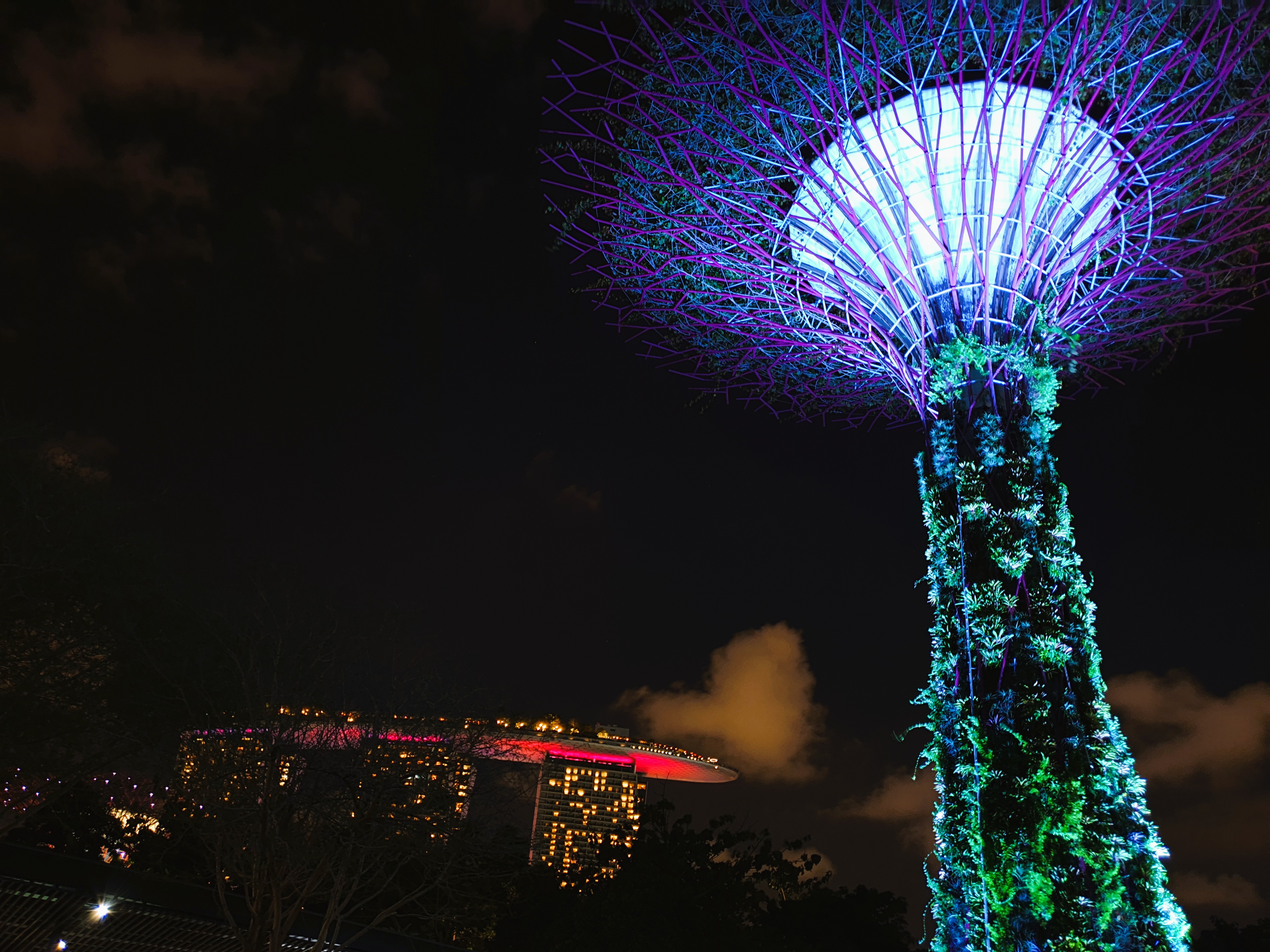 Gardens By The Bay With Marina Bay Sands Singapore